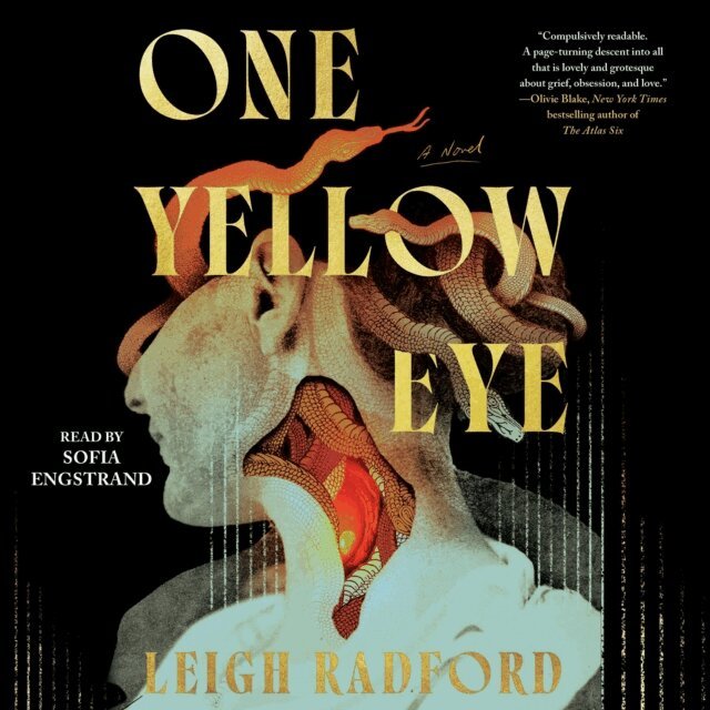 Leigh Radford - One Yellow Eye, Ljudbok