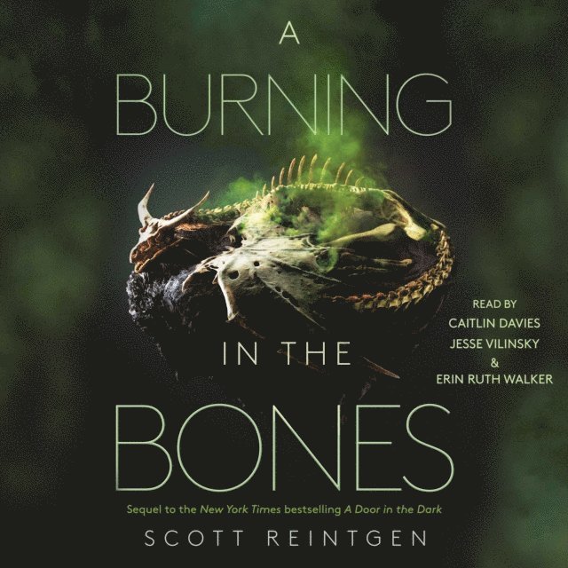 Scott Reintgen - Burning in the Bones, Ljudbok