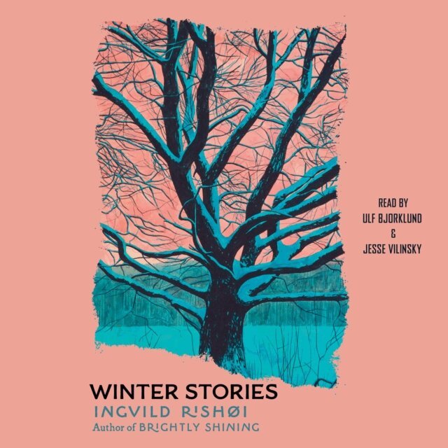 Ingvild Rishoi - Winter Stories, Ljudbok