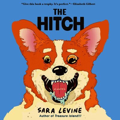 Sara Levine - Hitch, Ljudbok