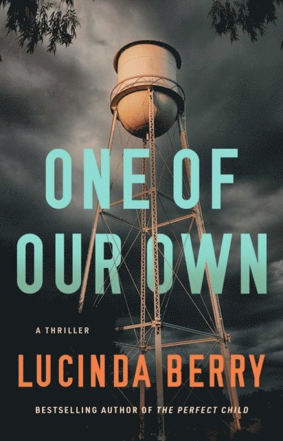 Lucinda Berry - One of Our Own, E-bok
