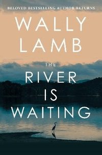 River Is Waiting (Oprah's Book Club)