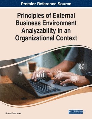 Bruno F. Abrantes - Principles of External Business Environment Analyzability in an Organizational Context, Häftad