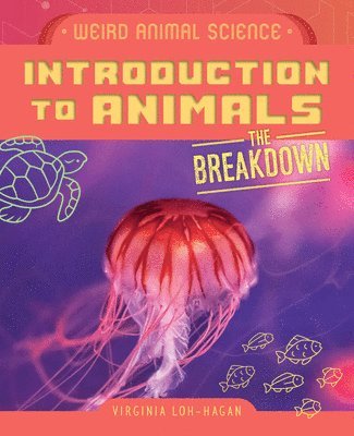 Virginia Loh-Hagan - Introduction to Animals, Häftad. Tillgänglighet: Lägg i varukorg