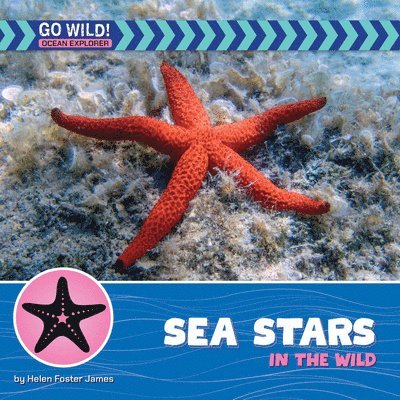 Helen Foster James - Sea Stars in the Wild, Inbunden