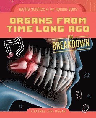 Virginia Loh-Hagan - Organs from Time Long Ago, Inbunden. Tillgänglighet: Lägg i varukorg