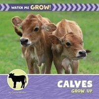 Calves Grow Up