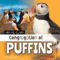 Alexandria Berry - Congregation of Puffins, Inbunden