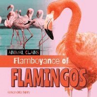 Alexandria Berry - Flamboyance of Flamingos, Inbunden