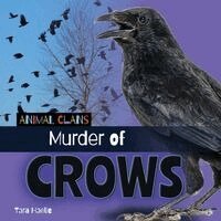 Tara Haelle - Murder of Crows, Inbunden