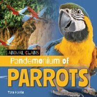 Tara Haelle - Pandemonium of Parrots, Inbunden