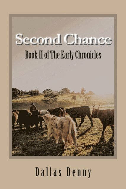 Dallas Denny - Second Chance, E-bok