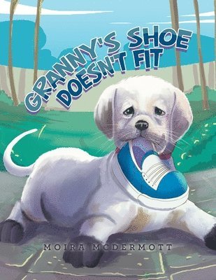 Moira McDermott - Granny's Shoe Doesn't Fit, Häftad. Tillgänglighet: Lägg i varukorg