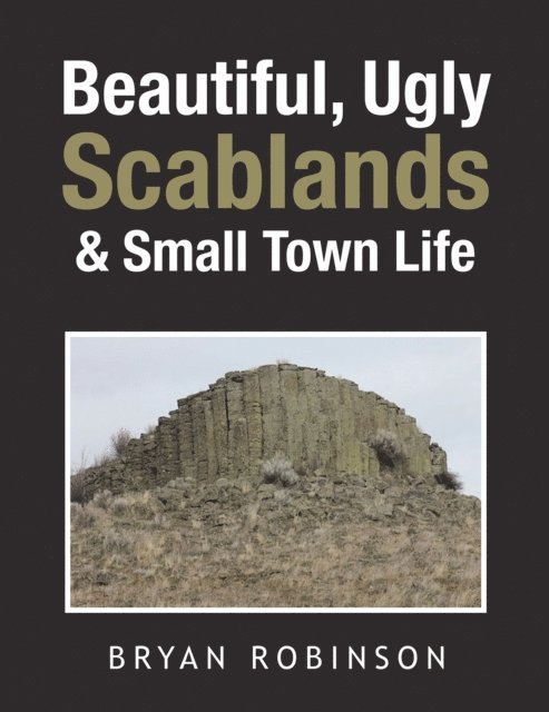 Bryan Robinson - Beautiful, Ugly Scablands & Small Town Life, E-bok