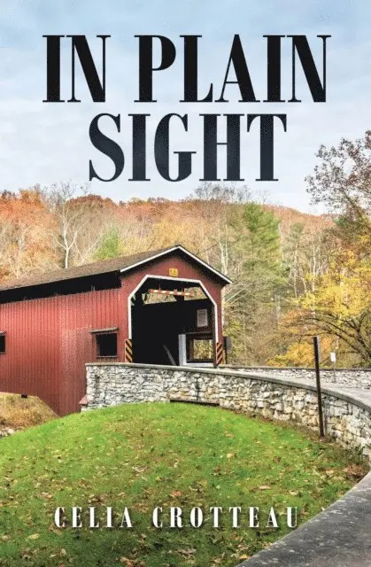 Celia Crotteau - In Plain Sight, E-bok. Tillgänglighet: Lägg i varukorg
