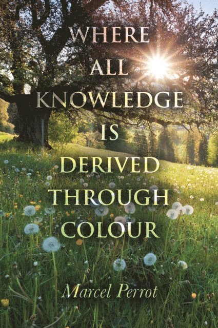 Marcel Perrot - Where All Knowledge Is Derived Through Colour, E-bok. Tillgänglighet: Lägg i varukorg