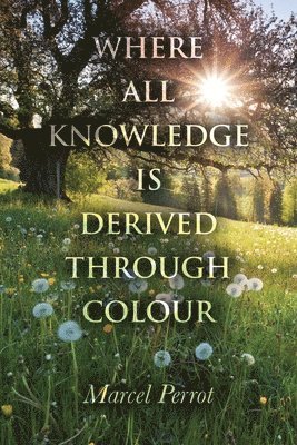Marcel Perrot - Where All Knowledge Is Derived Through Colour, Häftad. Tillgänglighet: Lägg i varukorg