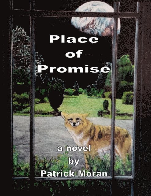 Patrick Moran - Place of Promise, E-bok