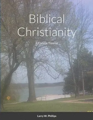Larry Phillips - Biblical Christianity, Häftad. Tillgänglighet: Lägg i varukorg