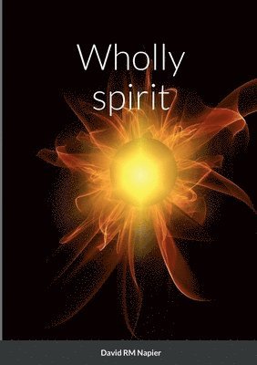 David Napier - Wholly spirit, Häftad. Tillgänglighet: Lägg i varukorg