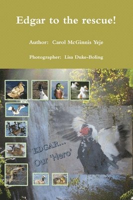 Carol McGinnis-Yeje - Edgar to the rescue!, Häftad. Tillgänglighet: Lägg i varukorg