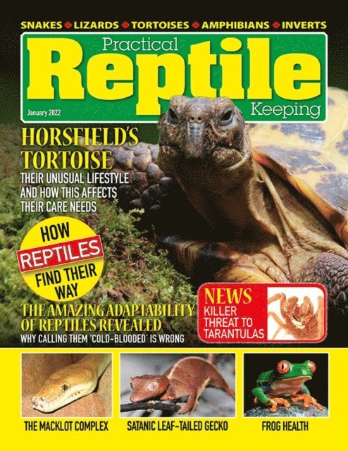 David Alderton - Practical Reptile Keeping - January 2022, E-bok