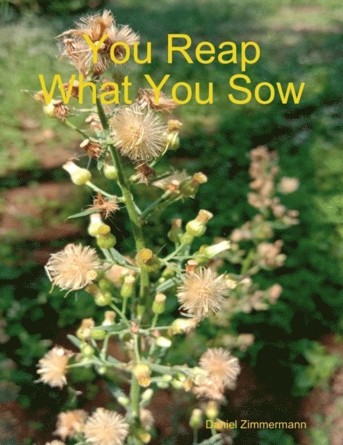 You Reap What You Sow
