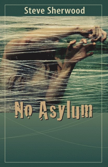 Steve Sherwood - No Asylum, E-bok