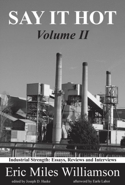 Eric Miles Williamson, Joseph D. Haske - Say It Hot, Volume II:, E-bok