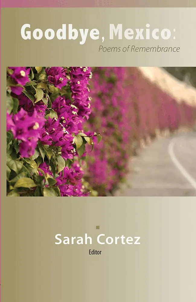 Sarah Cortez - Goodbye Mexico, Häftad. Tillgänglighet: Tillfälligt slut
