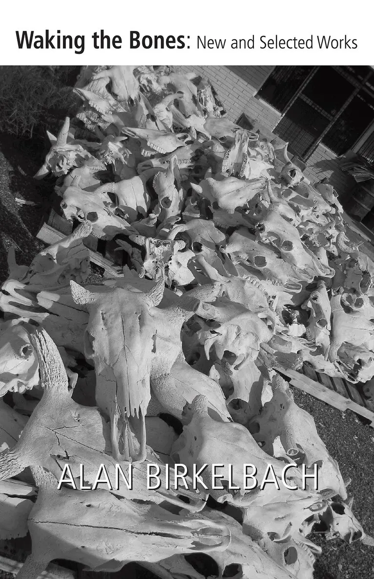 Alan Birkelbach - Waking the Bones, Häftad. Tillgänglighet: Tillfälligt slut