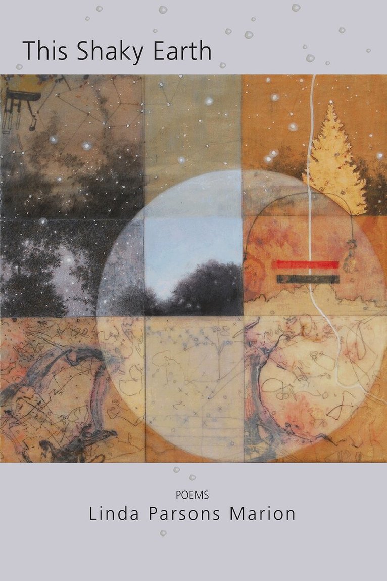 Linda Parsons . Marion - This Shaky Earth, Häftad