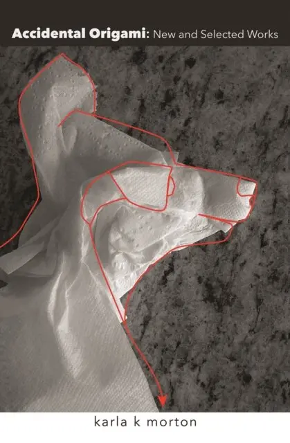 karla k. morton - Accidental Origami, E-bok. Tillgänglighet: Lägg i varukorg