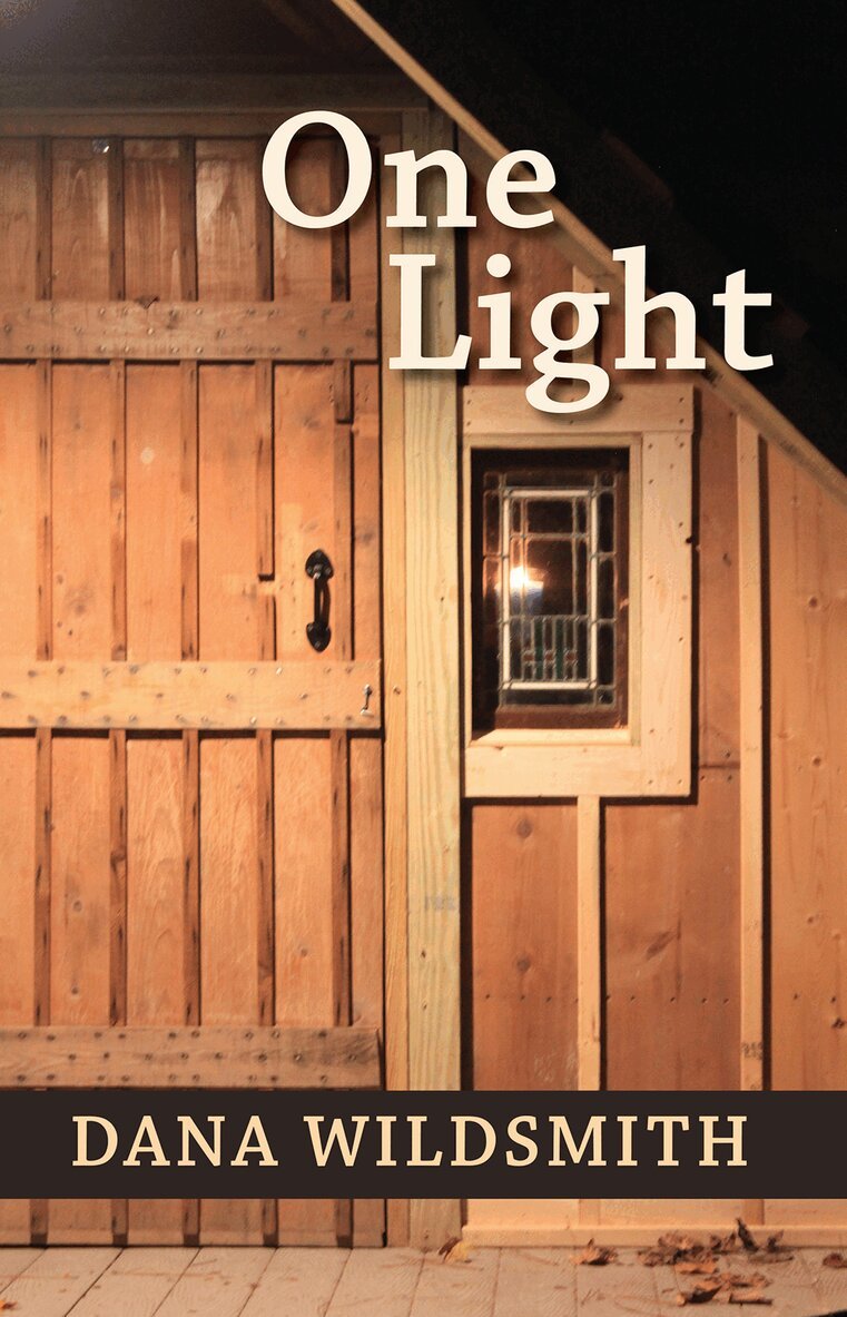Dana Wildsmith - One Light, Häftad. Tillgänglighet: Tillfälligt slut