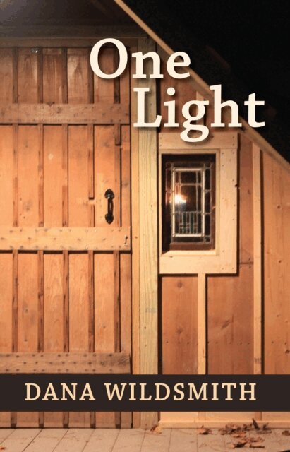 Dana Wildsmith - One Light, E-bok