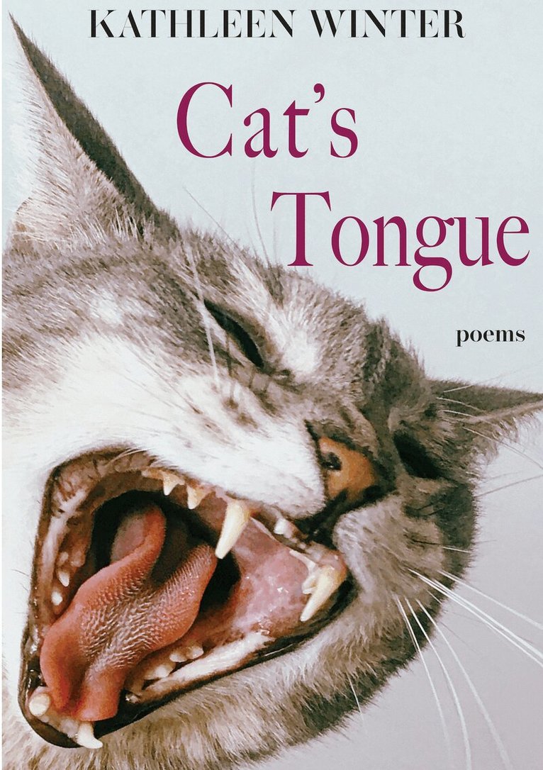 Kathleen Winter - Cat's Tongue, Häftad. Tillgänglighet: Tillfälligt slut