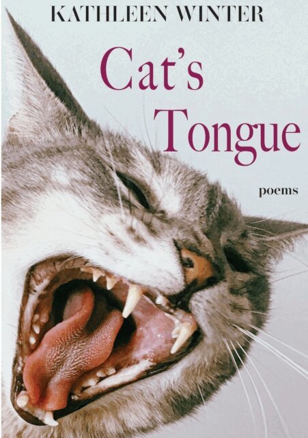Kathleen Winter - Cat's Tongue, E-bok