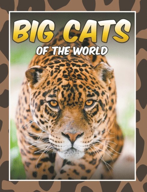 Marshall Koontz - Big Cats Of The World, E-bok. Tillgänglighet: Lägg i varukorg