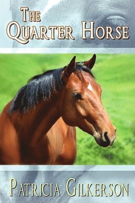 Patricia Gilkerson - Quarter Horse, Häftad