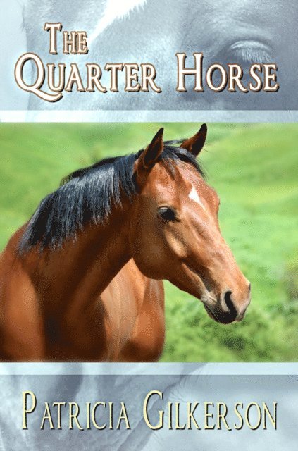 Patricia Gilkerson - Quarter Horse, E-bok