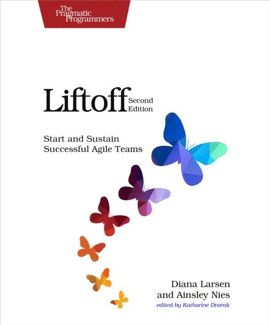 Ainsley Nies, Diana Larsen - Liftoff, E-bok