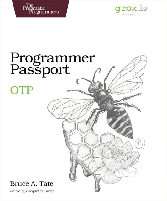 Bruce Tate - Programmer Passport: OTP, E-bok