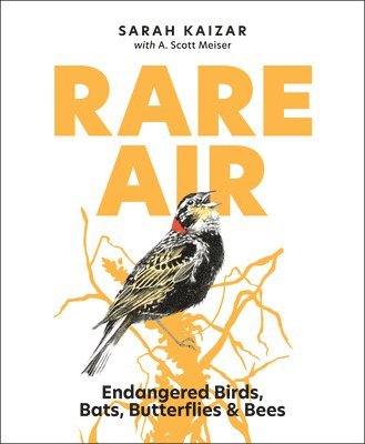 Rare Air: Endangered Birds, Bats, Butterflies, & Bees, Inbunden