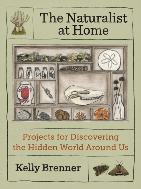 Kelly Brenner - Naturalist at Home, E-bok