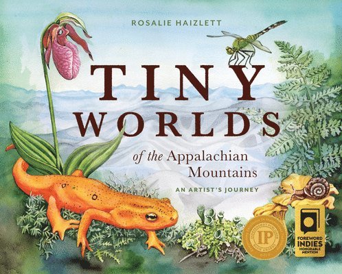 Rosalie Haizlett - Tiny Worlds of the Appalachian Mountains: An Artist's Journey, Inbunden