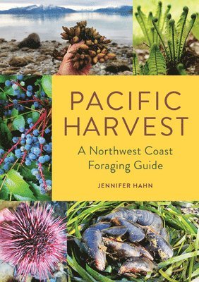 Jennifer Hahn - Pacific Harvest: A Northwest Coast Foraging Guide, Häftad