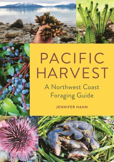 Jennifer Hahn - Pacific Harvest, E-bok