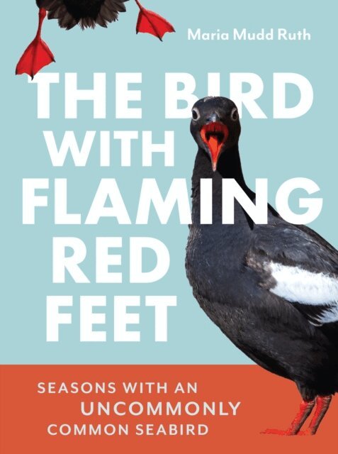 Maria Mudd Ruth - Bird with Flaming Red Feet, E-bok