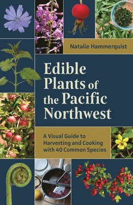 Natalie Hammerquist - Edible Plants of the Pacific Northwest: A Visual Guide to Harvesting and Cooking with 40 Common Species, Häftad