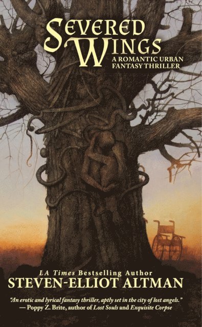 Steven-Elliot Altman - Severed Wings, E-bok